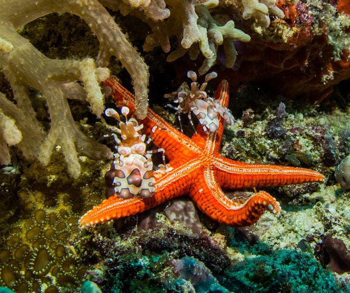 Carousel - image Carousel - image