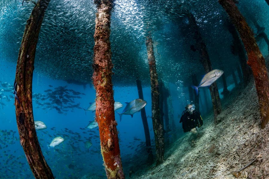 Carousel - image Carousel - image