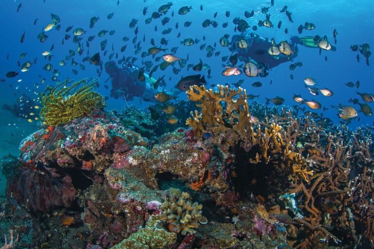 Carousel - image Carousel - image