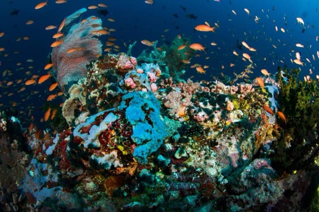 Carousel - image Carousel - image