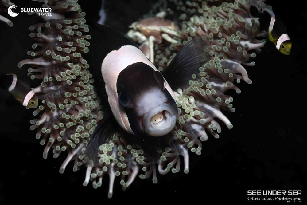 Carousel - image Carousel - image