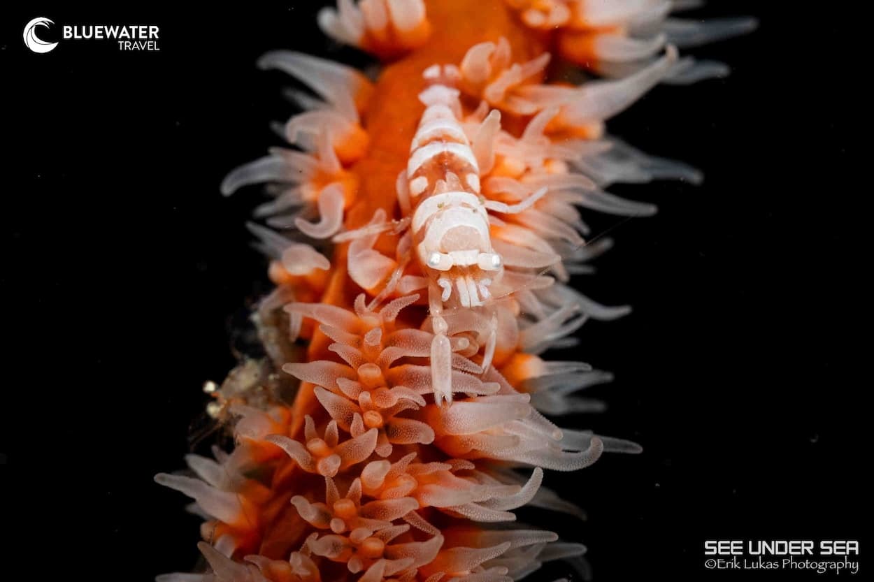 Carousel - image Carousel - image