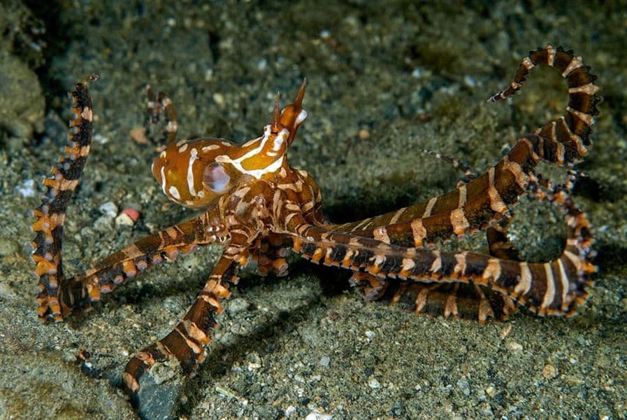 Carousel - image Carousel - image