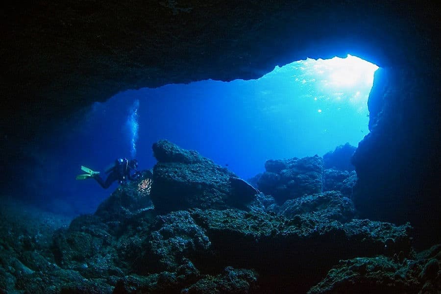 Carousel - image Carousel - image