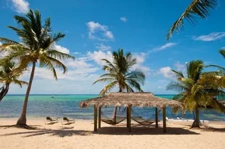 Little Cayman Special Packages Little Cayman Special Packages