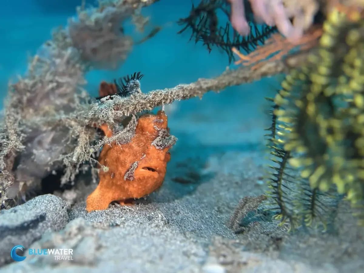 Carousel - image Carousel - image