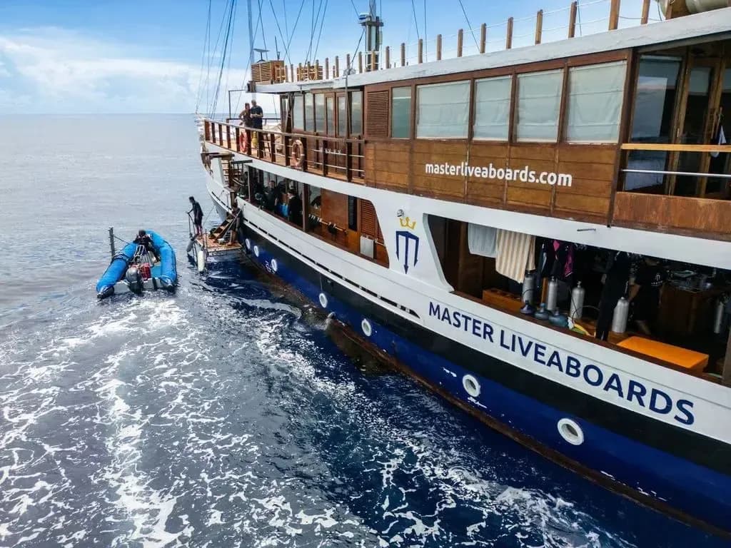 Indo Master Special Packages - image Indo Master Special Packages - image