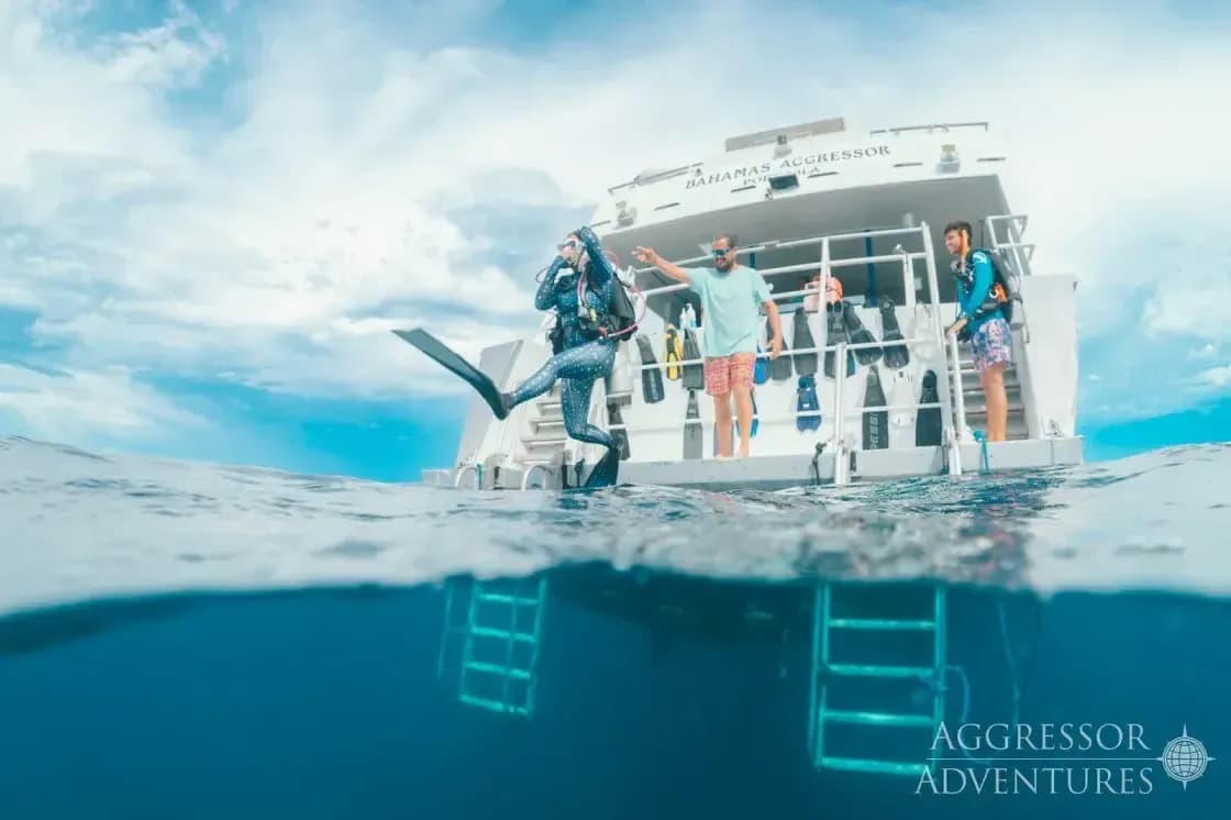 Bahamas Aggressor I Special Packages - image Bahamas Aggressor I Special Packages - image