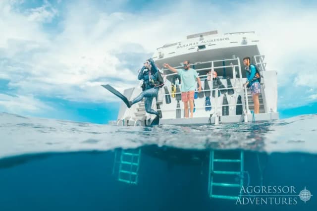 Bahamas Aggressor I Special Packages Bahamas Aggressor I Special Packages