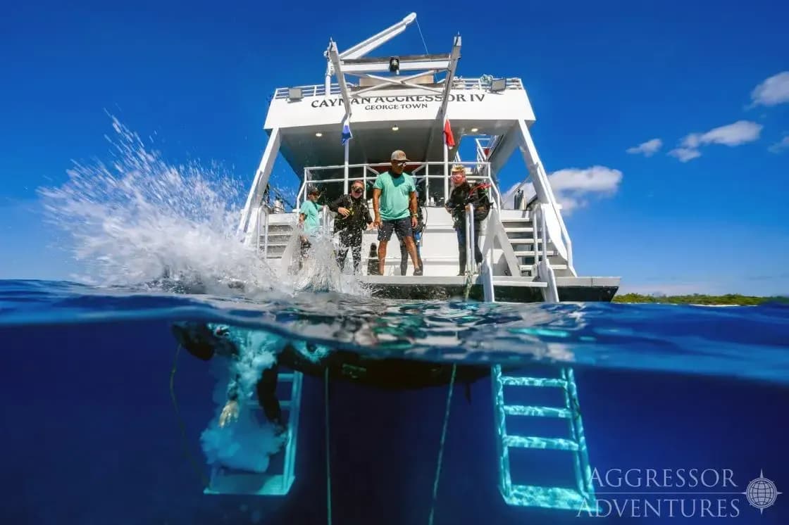 Cayman Aggressor IV Special Packages - image Cayman Aggressor IV Special Packages - image