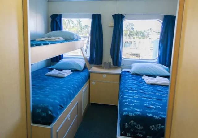 Aqua Cat Special Packages Aqua Cat Special Packages