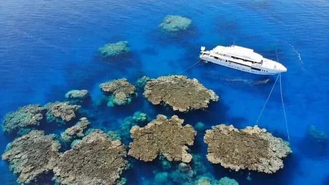 Blue Seas Special Packages - image Blue Seas Special Packages - image