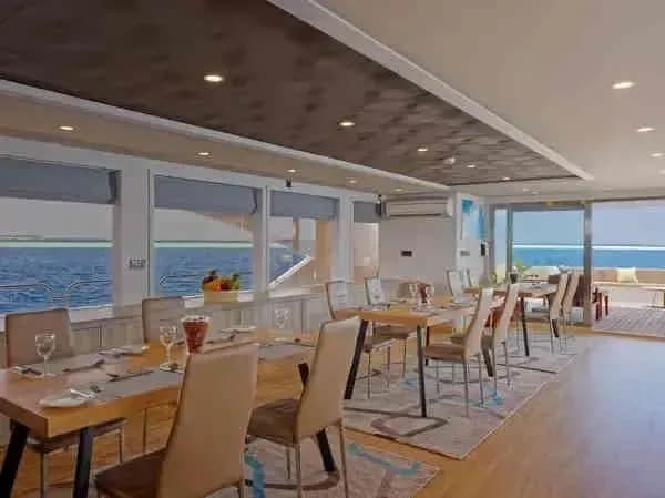 Felicity Liveaboard Special Packages - image Felicity Liveaboard Special Packages - image