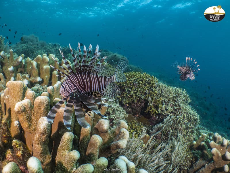 Carousel - image Carousel - image