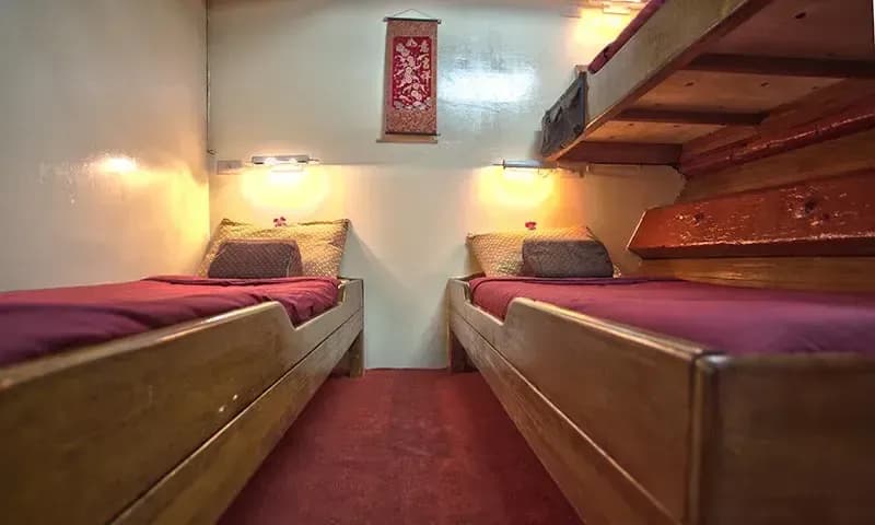 The Junk Special Packages - image The Junk Special Packages - image