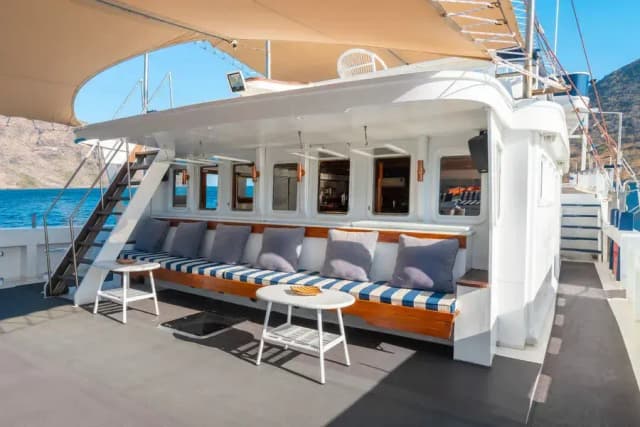 Seahorse Special Packages Seahorse Special Packages