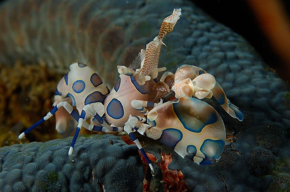 Carousel - image Carousel - image