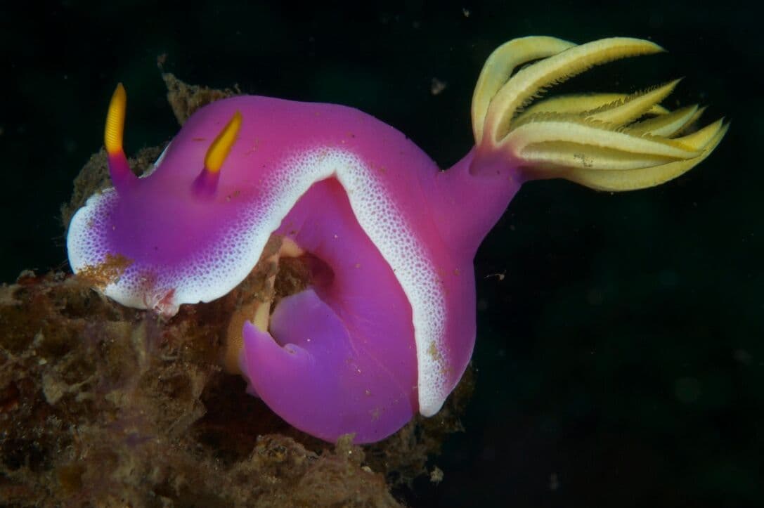 Carousel - image Carousel - image