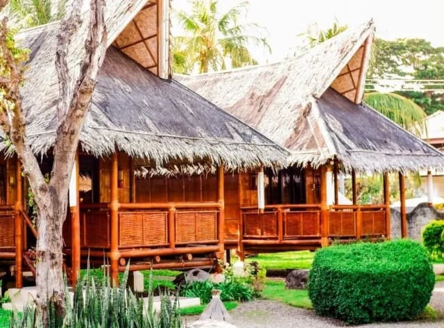 Pura Vida Dauin Special Packages Pura Vida Dauin Special Packages