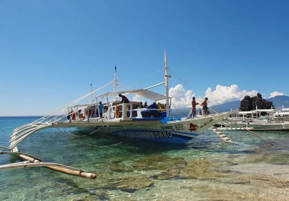 Sea Explorers Special Packages - image Sea Explorers Special Packages - image