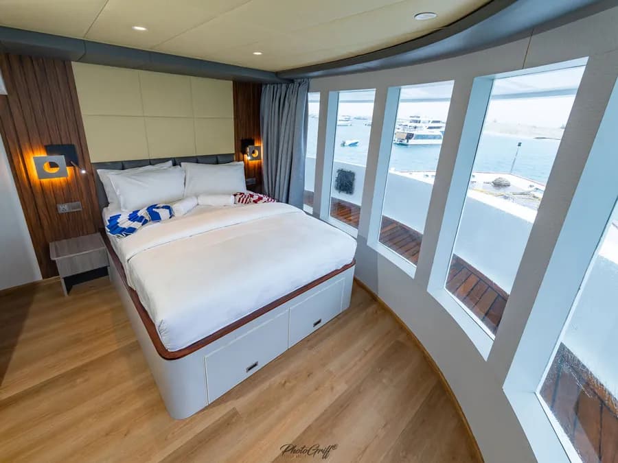 Seafari Explorer II Special Packages - image Seafari Explorer II Special Packages - image