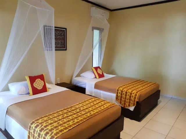 Dive Into Raja Ampat Special Packages Dive Into Raja Ampat Special Packages