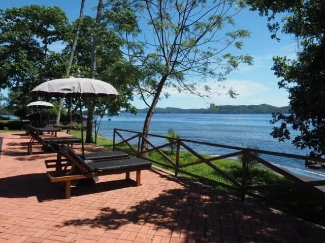 Dive Into Lembeh Special Packages Dive Into Lembeh Special Packages