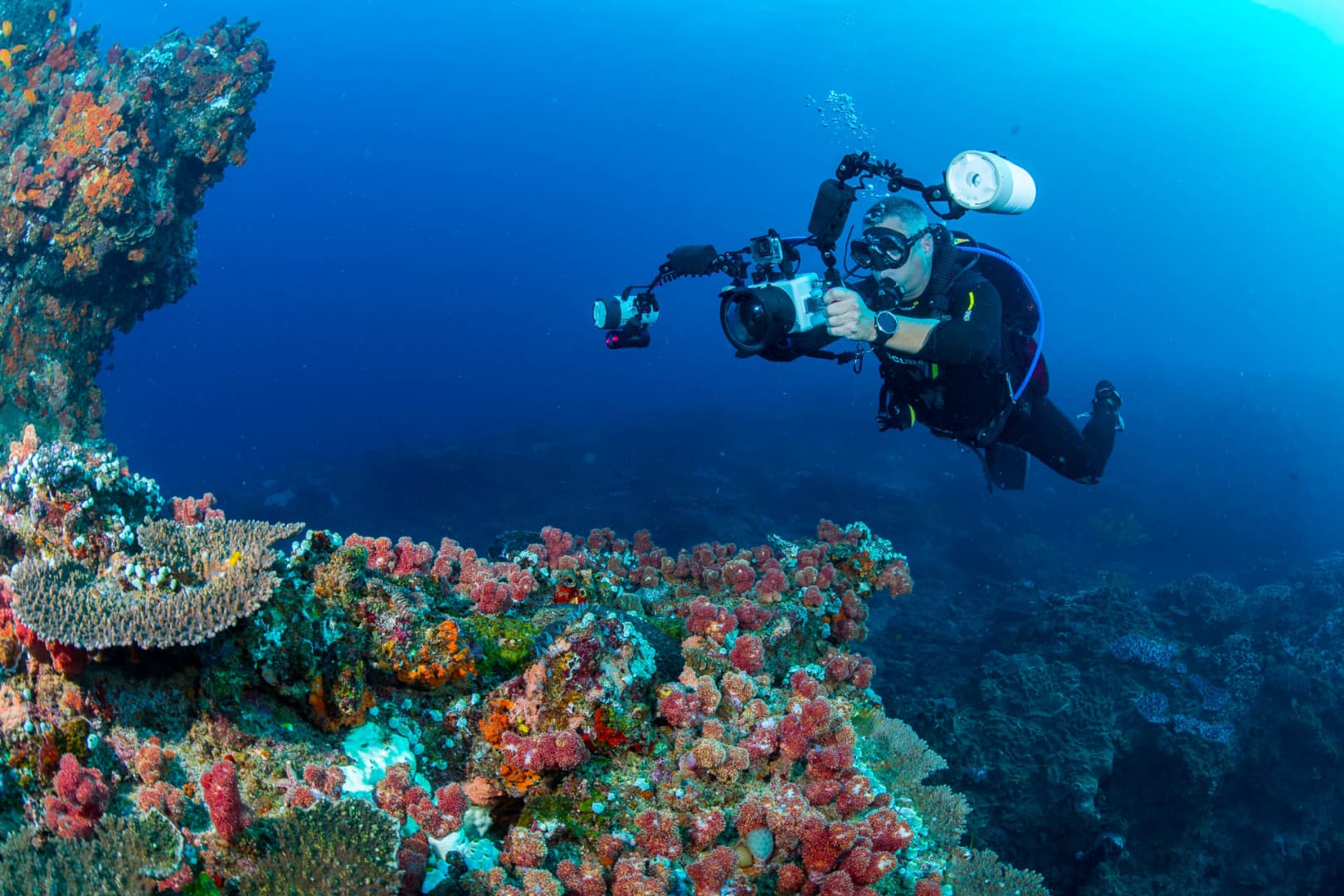 Wayne Tarr, Trip Leader Wayne Tarr, Trip Leader