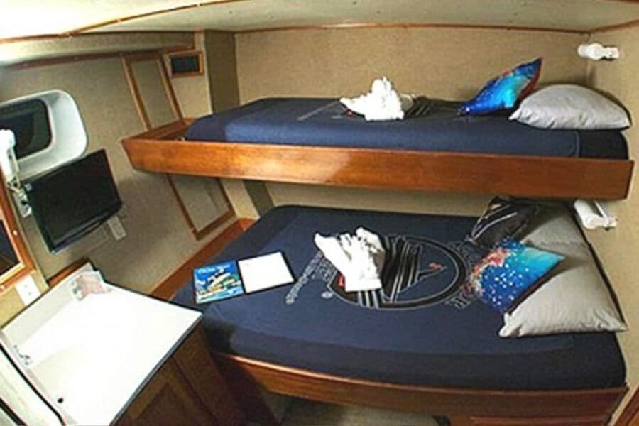Deluxe Stateroom Lower Deck - image Deluxe Stateroom Lower Deck - image