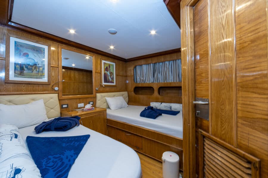 Standard Main Deck - image Standard Main Deck - image