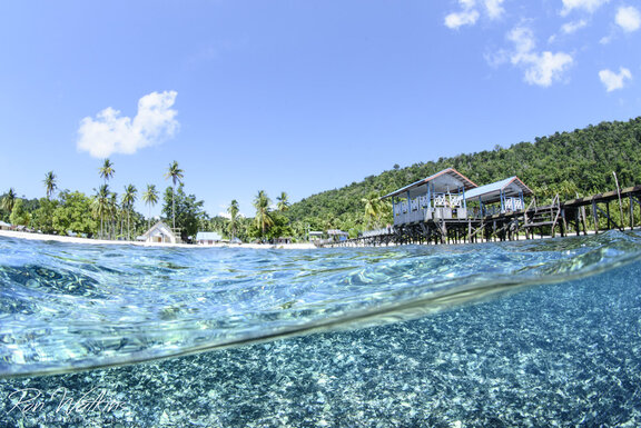 Raja Ampat 2017