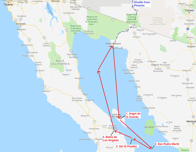 Sea of Cortez Trip Report 2020