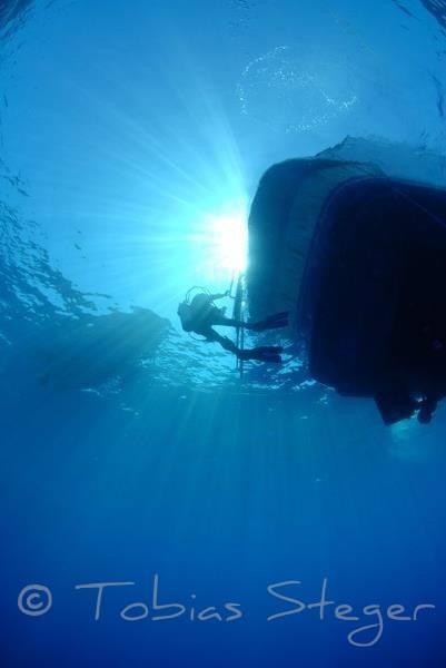 red sea liveaboard