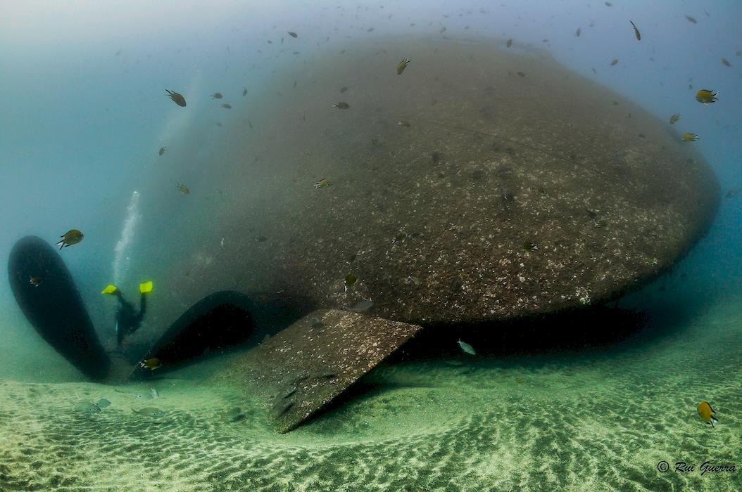 portugal diving