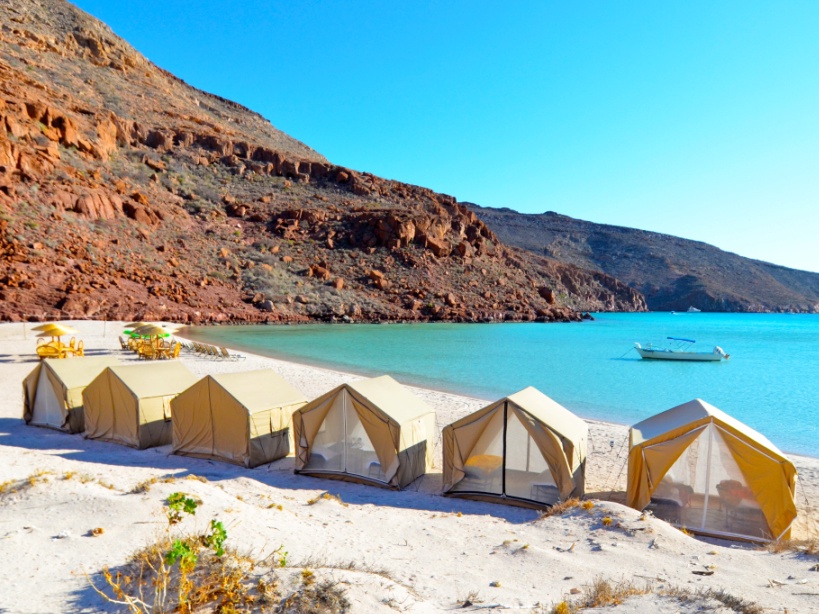 Fun Baja La Paz Mexico Bluewater Dive Travel