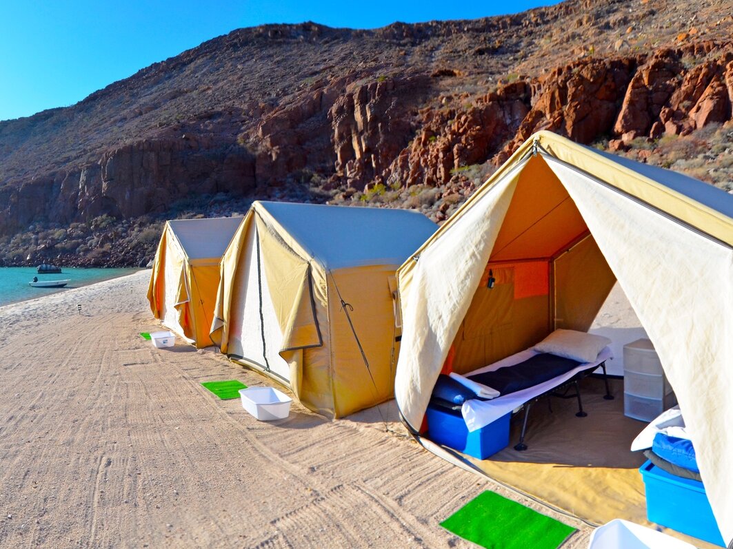 Fun Baja La Paz Mexico Bluewater Dive Travel