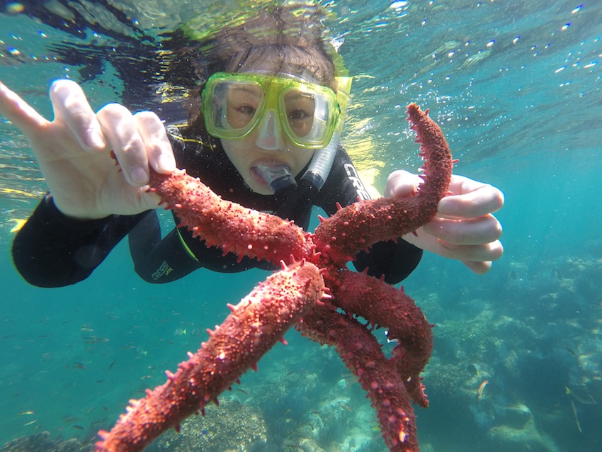 Fun Baja La Paz Mexico Bluewater Dive Travel