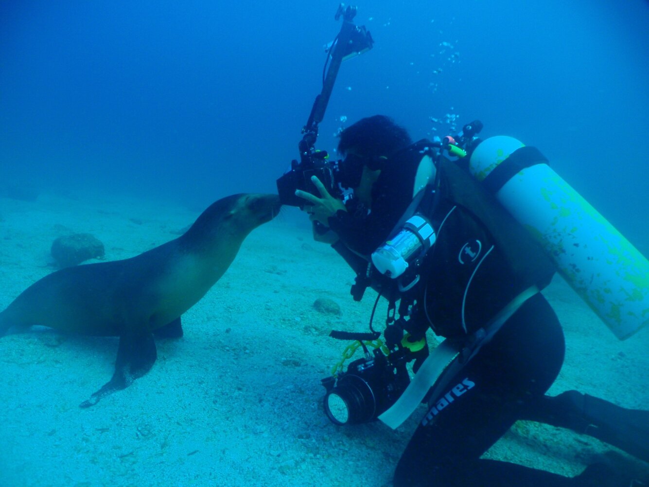 Fun Baja La Paz Mexico Bluewater Dive Travel