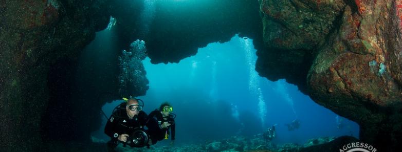 hawaii diving