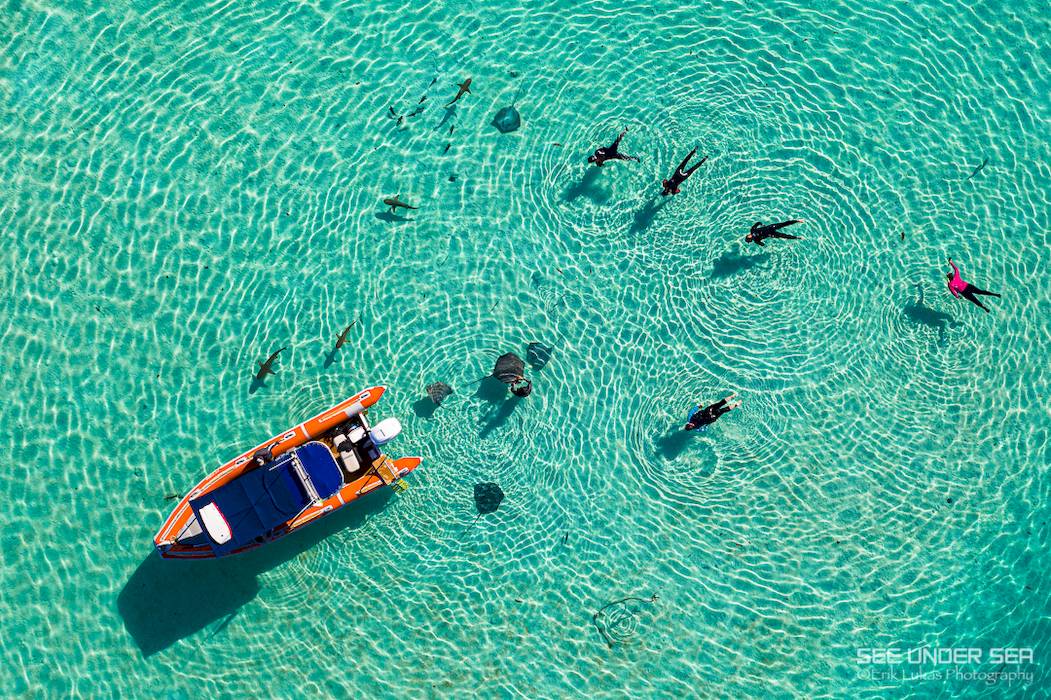 snorkeling French Polynesia