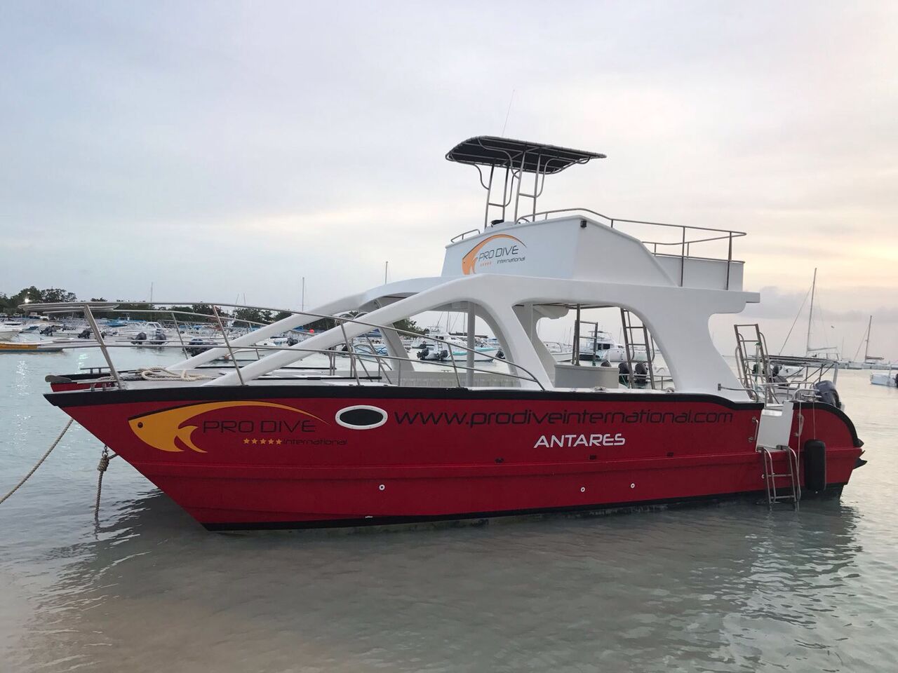 Pro Dive International