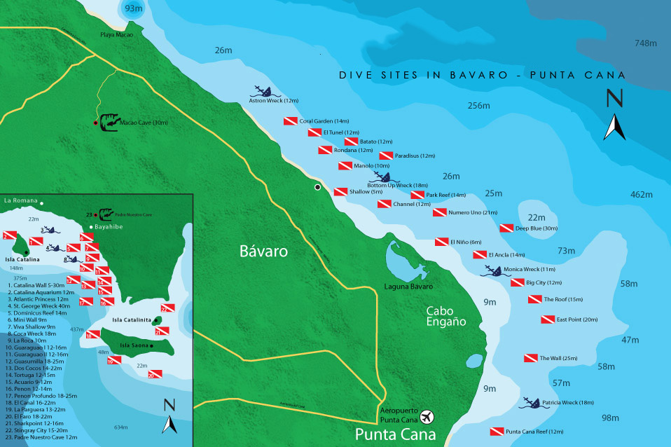 Pro Dive International