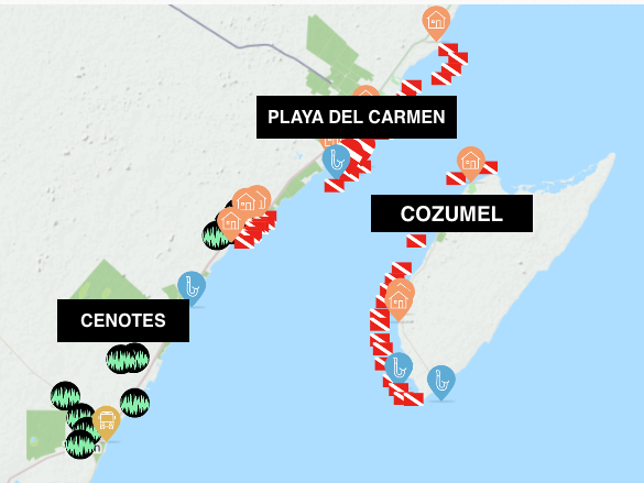 Pro Dive Mexico Bluewater Dive Travel