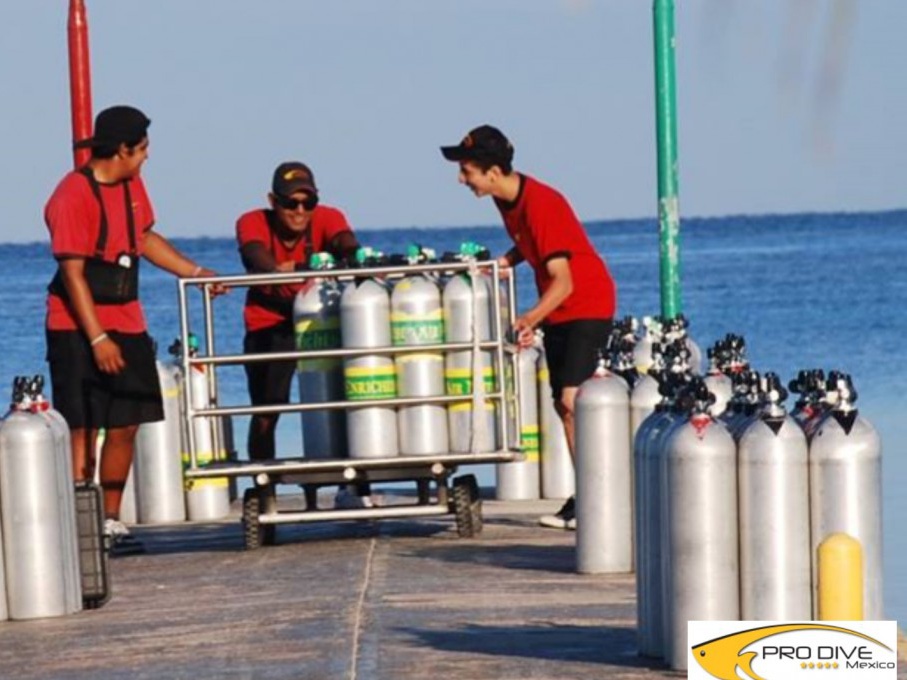 Pro Dive Mexico Bluewater Dive Travel