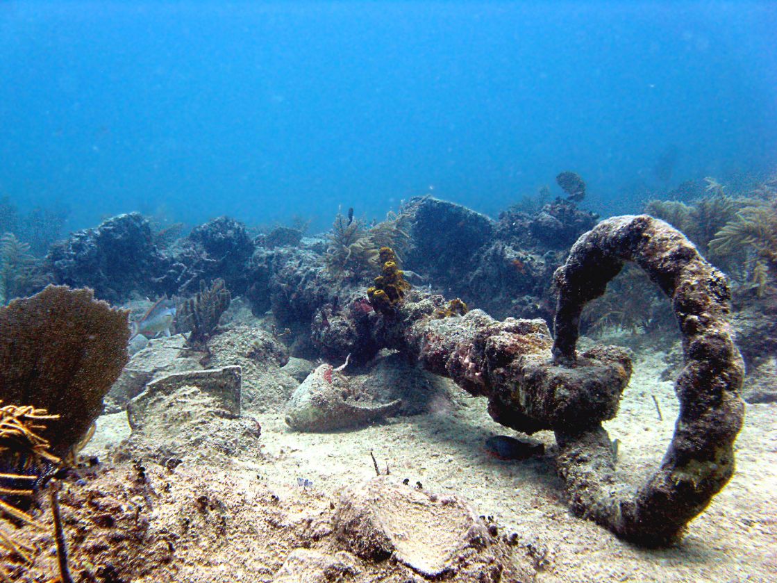 Reef Oasis Dive Club Viva Dominican