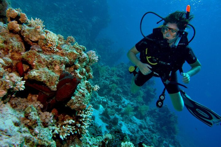 Reef Oasis Dive Club Sharm El Sheikh