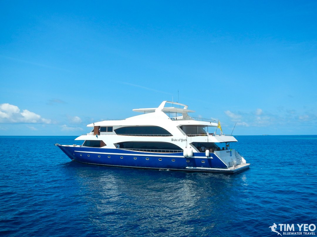 The Duke of York liveaboard sailing the Maldives has rates for solo travelers.