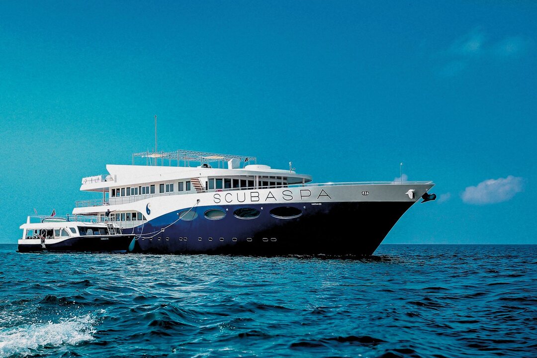 Scubaspa liveaboard sails the Maldives and offers great deals for single travelers.