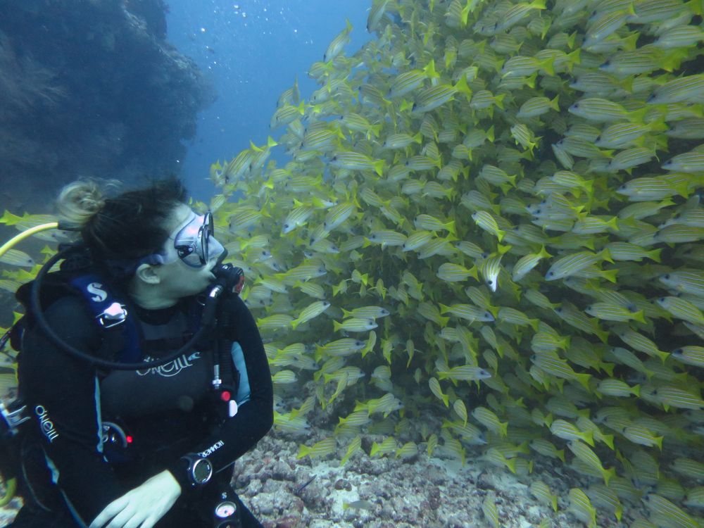 South Ari Dive Center Maldives underwater photo