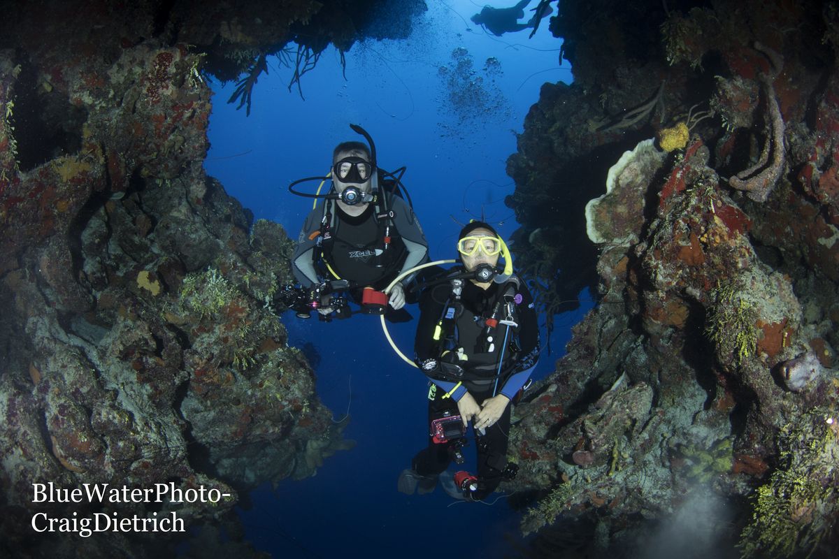 turks and caicos diving